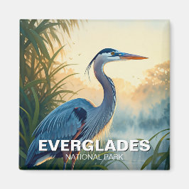 Underbar Blue Heron Everglades nationalpark Florid Magnet