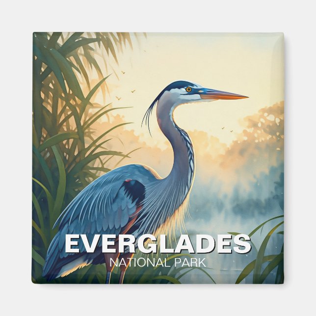 Underbar Blue Heron Everglades nationalpark Florid Magnet (Framsidan)