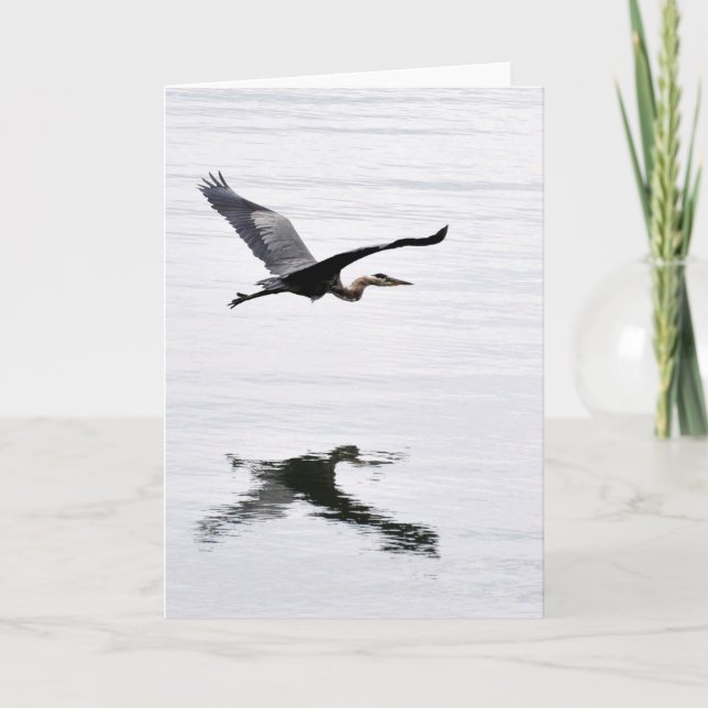 Underbar Blue Heron Flies Kort (Framsida)