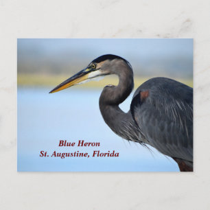 Underbar Blue Heron Helg Vykort