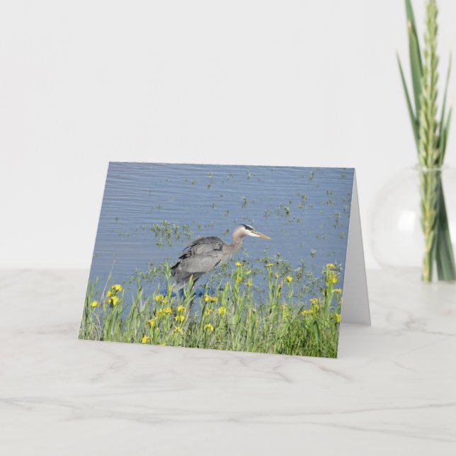 Underbar Blue Heron i floden. Kort (Framsida)