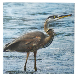 Underbar Blue Heron i Vatten Kakelplatta