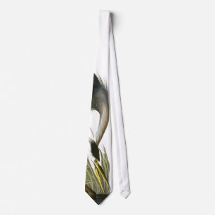 Underbar Blue Heron, John James Audubon Bra Slips