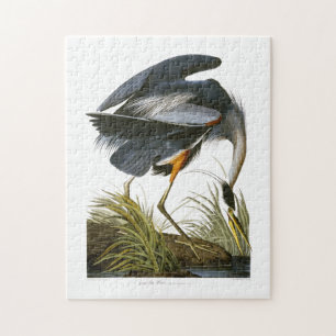 Underbar Blue Heron, John James Audubon Pussel