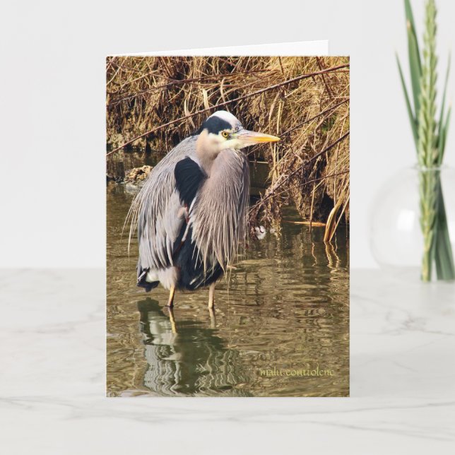 Underbar Blue Heron Kort (Framsida)