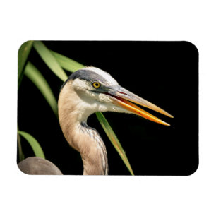 Underbar Blue Heron Magnet