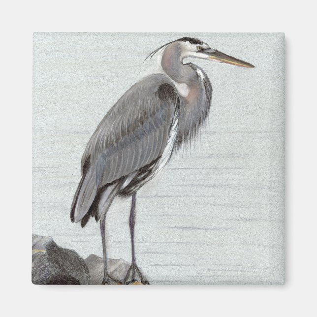 Underbar Blue Heron Magnet (Framsidan)