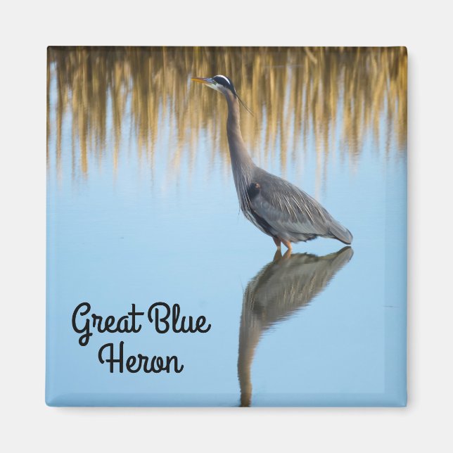 Underbar Blue Heron Magnet (Framsidan)