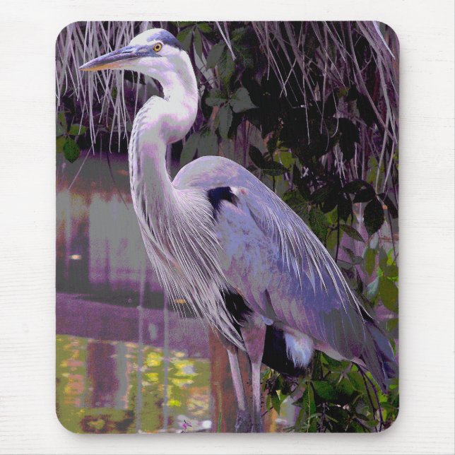 Underbar Blue Heron Musmatta (Framsidan)