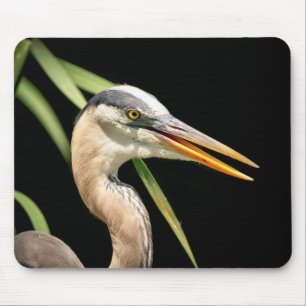Underbar Blue Heron Musmatta