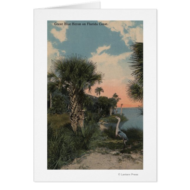 Underbar Blue Heron på Florida Kusten Beach Hälsningskort (Framsidan)