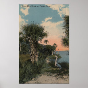 Underbar Blue Heron på Florida Kusten Beach Poster