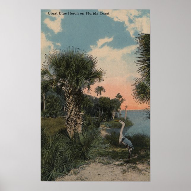 Underbar Blue Heron på Florida Kusten Beach Poster (Framsidan)