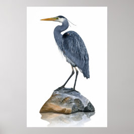 Underbar Blue Heron på Sten Poster