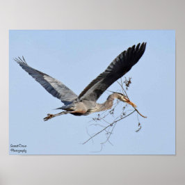 Underbar Blue Heron Poster