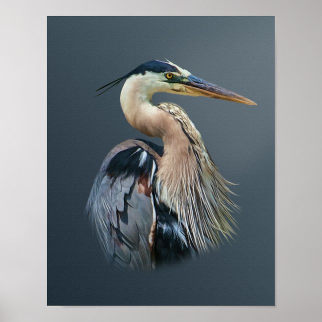 Underbar Blue Heron Poster (Framsidan)