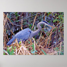 UNDERBAR BLUE HERON POSTER