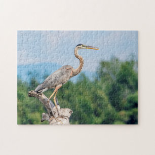 Underbar Blue Heron Pussel