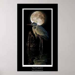 UNDERBAR BLUE HERON, REEDS & MÅNE Art Print Poster