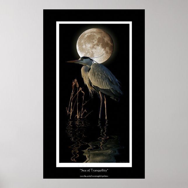 UNDERBAR BLUE HERON, REEDS & MÅNE Art Print Poster (Framsidan)
