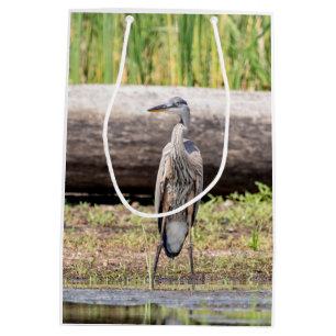 Underbar Blue Heron som står i Sjö Chamblank
