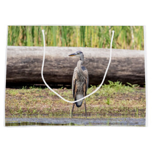 Underbar Blue Heron som står i Sjö Chamblank