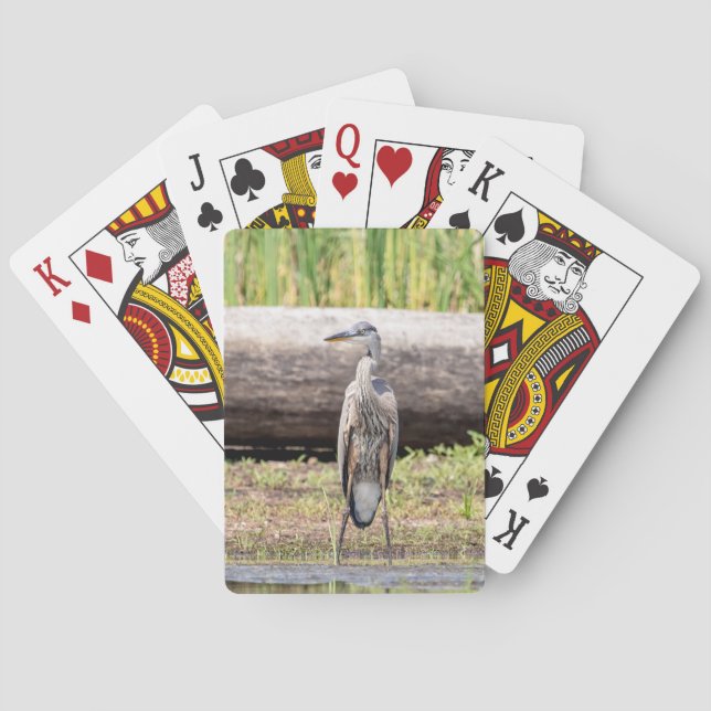 Underbar Blue Heron som står i Sjö Chamblank Casinokort (Baksidan)