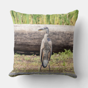 Underbar Blue Heron som står i Sjö Chamblank Kudde