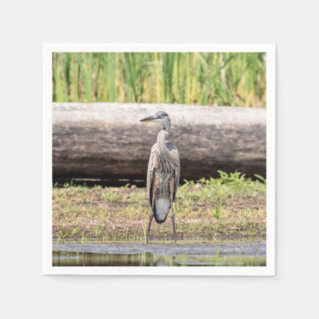 Underbar Blue Heron som står i Sjö Chamblank Pappersservett (Framsidan)