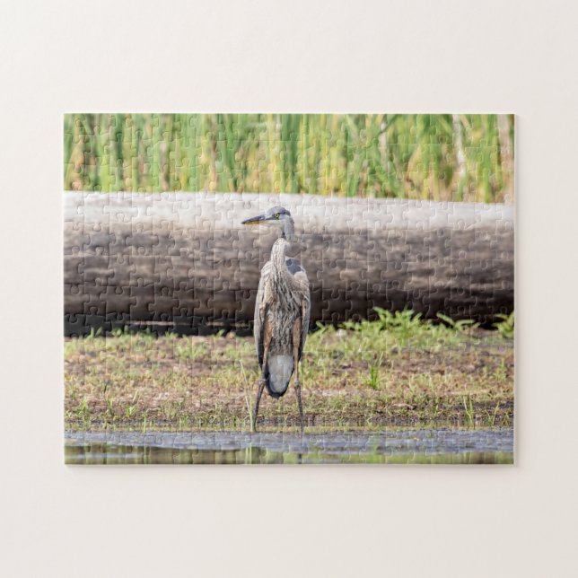 Underbar Blue Heron som står i Sjö Chamblank Pussel (Horisontell)