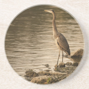 Underbar Blue Heron Underlägg