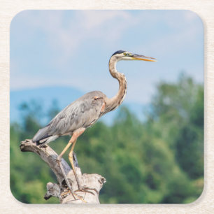Underbar Blue Heron Underlägg Papper Kvadrat