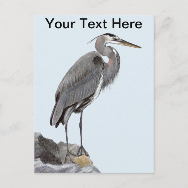 Underbar Blue Heron Vykort (Framsida)