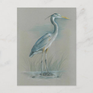 Underbar Blue Heron Vykort