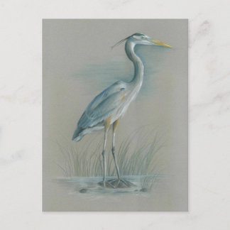 Underbar Blue Heron Vykort