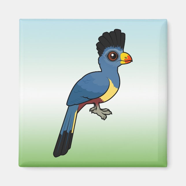 Underbar Blue Turaco Magnet (Framsidan)