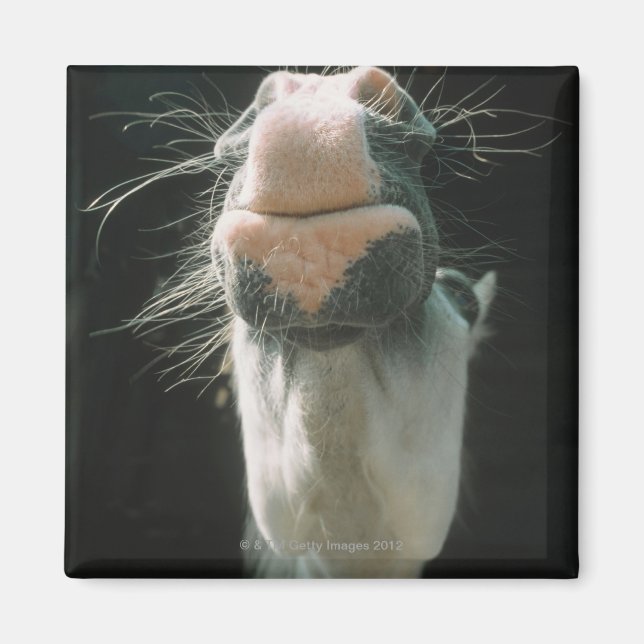 Underbar Britian Magnet (Framsidan)