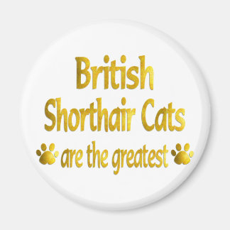 Underbar British Shorthair Magnet