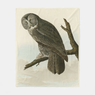 Underbar Cinereous Uggla från Audubon Birds of Ame Fleecefilt