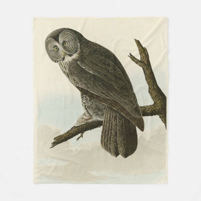 Underbar Cinereous Uggla från Audubon Birds of Ame Fleecefilt (Framsidan)