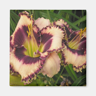 Underbar Daylily Magnet