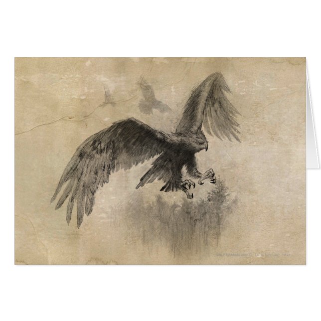 Underbar Eagles-skiss Hälsningskort (Framsidan Horizontal)