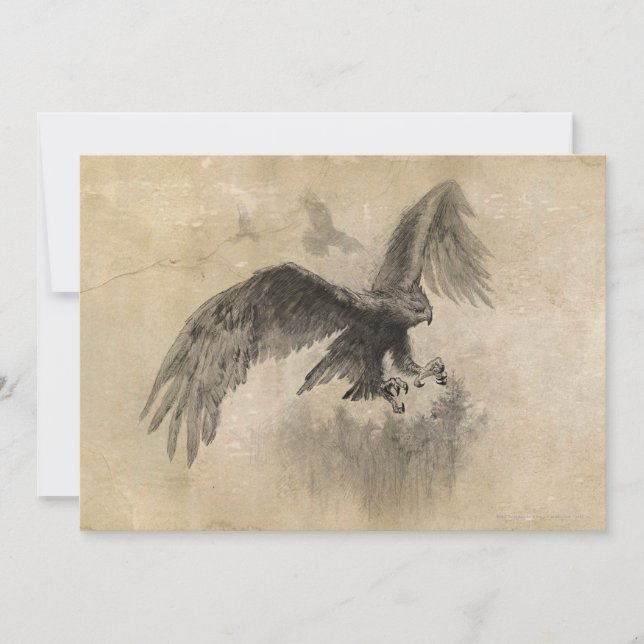 Underbar Eagles-skiss Inbjudningar (Framsida)