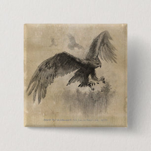 Underbar Eagles-skiss Knapp