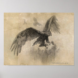 Underbar Eagles-skiss Poster