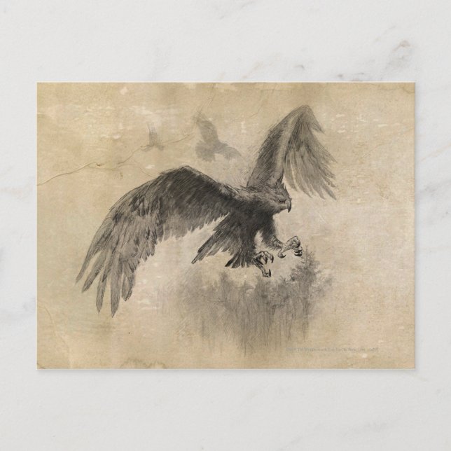 Underbar Eagles-skiss Vykort (Framsida)