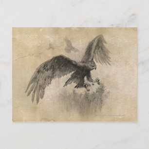 Underbar Eagles-skiss Vykort