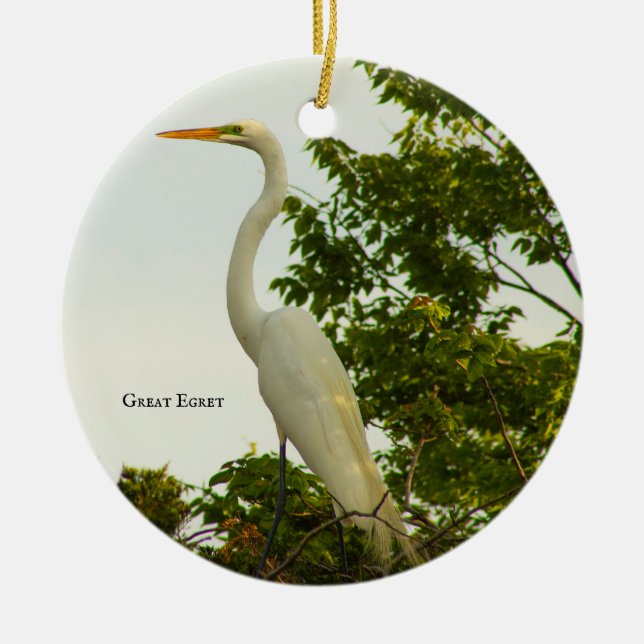 Underbar Egret Bird Photo Ornament (Framsidan)