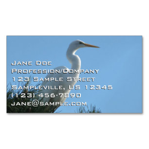 Underbar Egret i Sunny Florida Magnetiska Visitkort