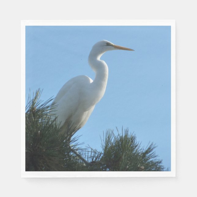 Underbar Egret i Sunny Florida Pappersservett (Framsidan)